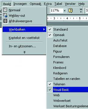 Programmeren met Word