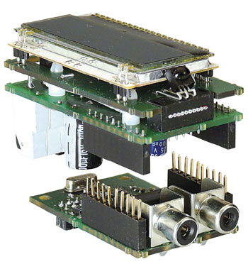 Modulo D