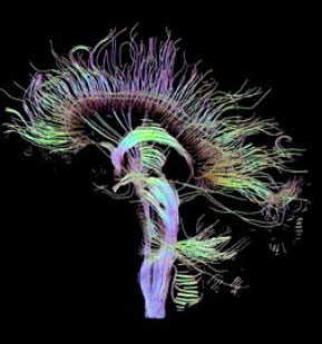 Tech The Future: Cognitieve neurowetenschap en muziek